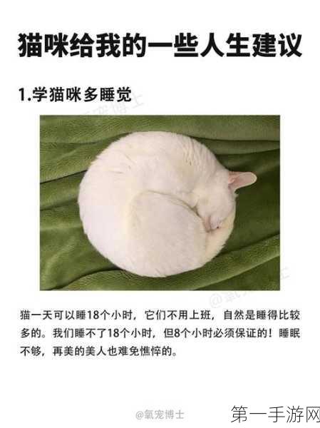 猫影视接口：当然可以！以下是一些根据猫影视接口拓展出的新标题建议，每个标题都不少于10个字：