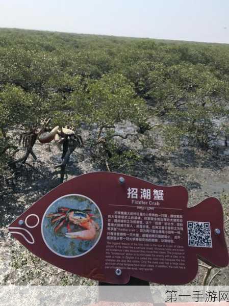 大长径视频.m5u8:1. 大长径探秘:探索自然之美与奇观
