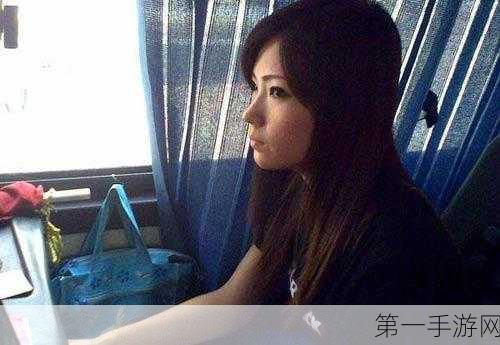 混乱小镇公交车售票员职责,疯狂巴士:我在混乱小镇当售票员