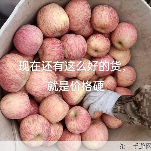 丰裕纵满2588最火的一句，丰裕纵满2588钻石礼包