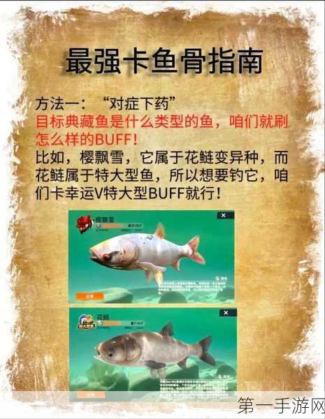 欢乐钓鱼大师深度攻略，掌握收割者钓鱼法，成为钓鱼大师🎣