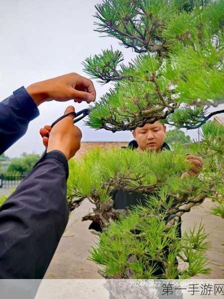 探秘园艺大师的精彩玩法