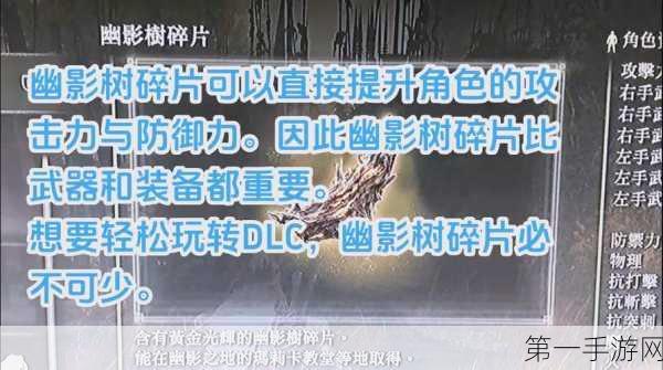 艾尔登法环 DLC 绝佳开局秘籍