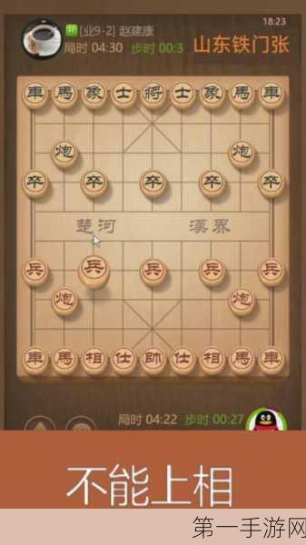 天天象棋残局挑战193期必胜攻略👑，揭秘高手破局秘籍！