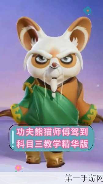 功夫熊猫手游，揭秘师傅追太郎跳跃技巧🐼