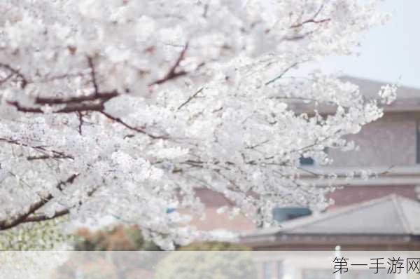 妄想山海芙蓉花秘境探寻指南🌸