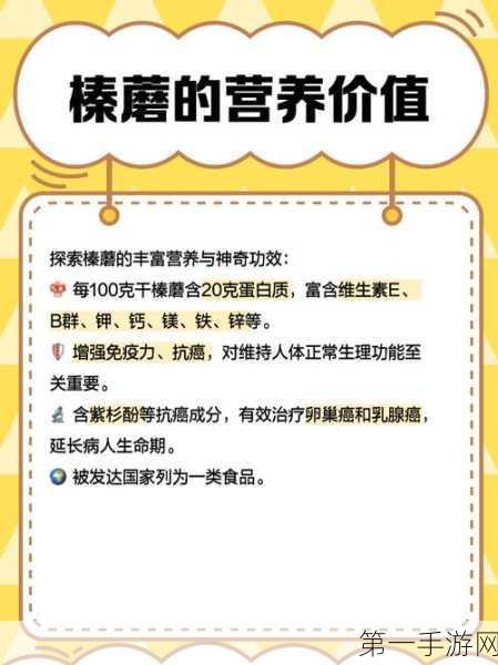 蘑菇晒后补钙之谜，是真还是假？