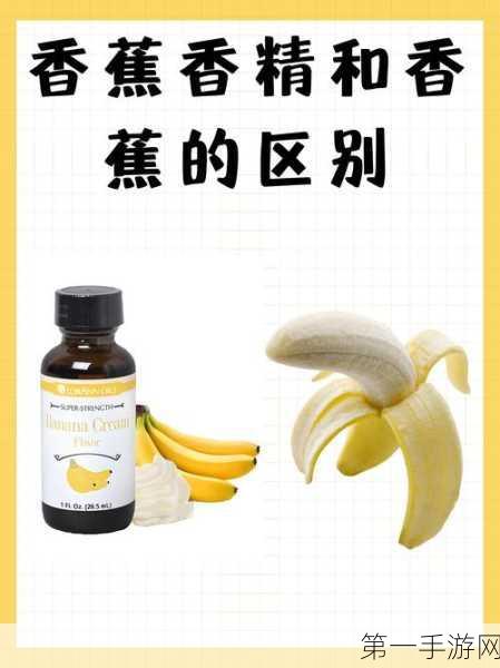 🍌小森生活果园大揭秘，香蕉刷新位置全攻略，收益满满不是梦✨