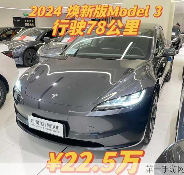 特斯拉2024年电动车业绩爆棚，全球市场潜力无限大！🚗✨