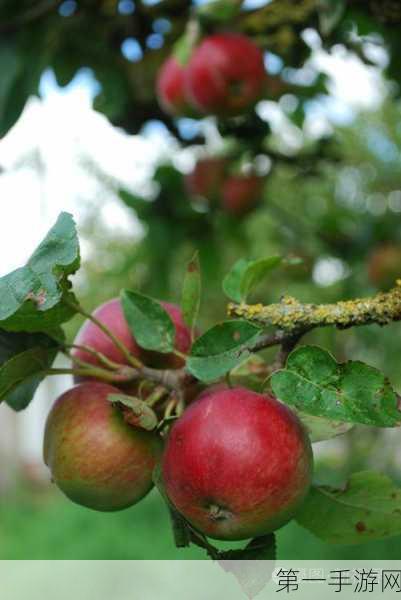 原神苹果树高效采集点揭秘🍎