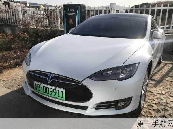 Tesla荣膺中国首批汽车隐私保护标志外企，引领安全出行新时代🚗✨