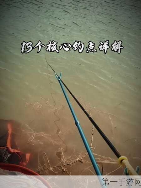 小森生活大马哈鱼高概率钓点揭秘🎣