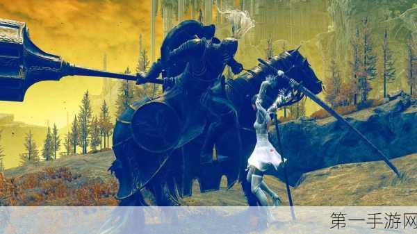 艾尔登法环 DLC 寻觅黑骑士踪迹