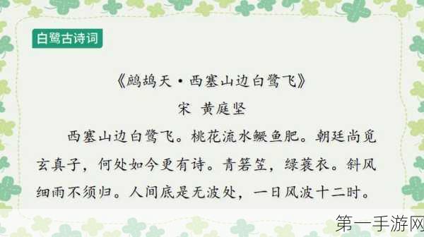 归龙潮中白鹭的全方位解析