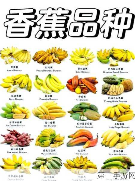 探索创造与魔法，揭秘香蕉宝藏地🍌✨