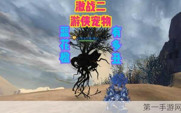 魔兽世界，杰里米费舍尔激战宠物全解析