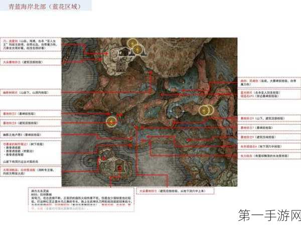 艾尔登法环DLC 雷电枪流派无敌搭配秘籍