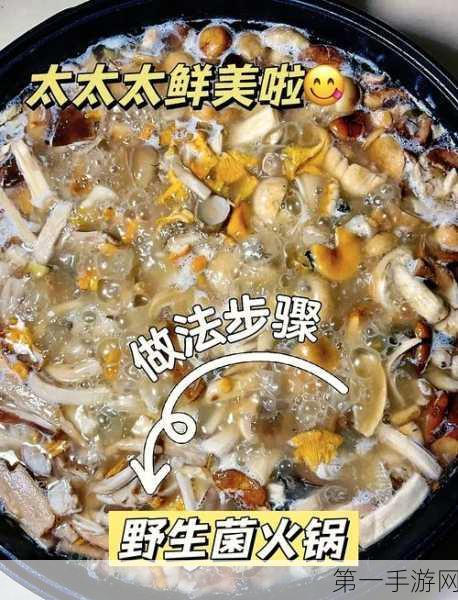 我的世界烹饪秘籍，蘑菇汤制作全攻略🍲