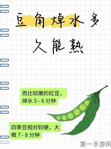 豆角季来袭！北方人夏季餐桌挑战再升级🌱