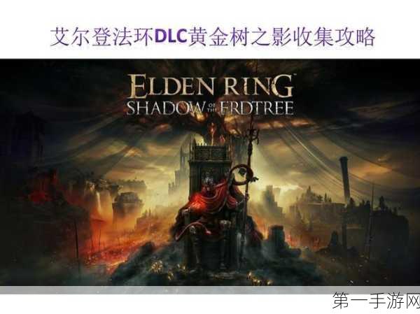 艾尔登法环DLC 终极 BOSS 抗性大揭秘