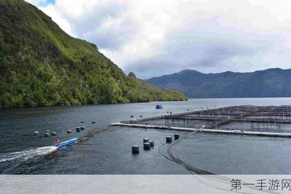 贵州渔业集团引领潮流，数字科技打造智慧生态渔业新时代🐟