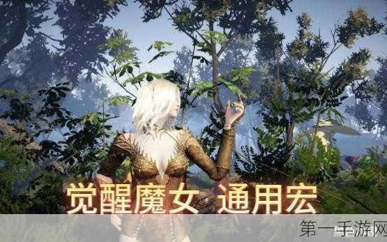 称霸黑色沙漠，觉醒魔女 PVE 玩法大揭秘