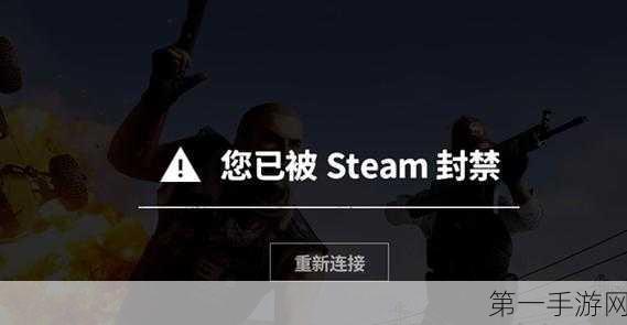 Steam绝地求生玩家遭遇误封风波，游戏公平性引热议🔥