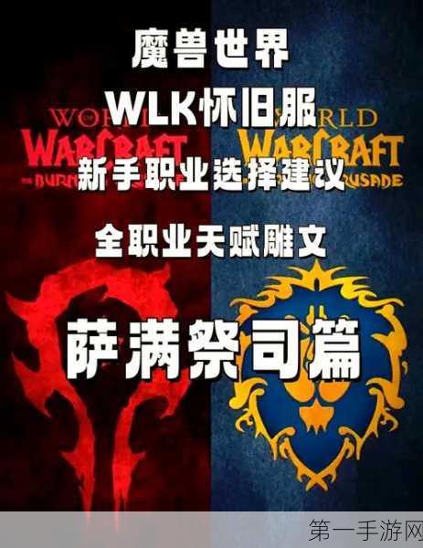 魔兽世界 WLK 萨满种族抉择指南