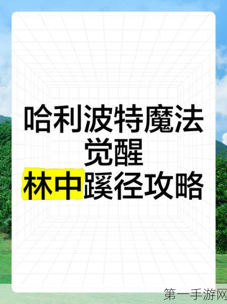 哈利波特魔法觉醒，轻松征服林中蹊径秘籍