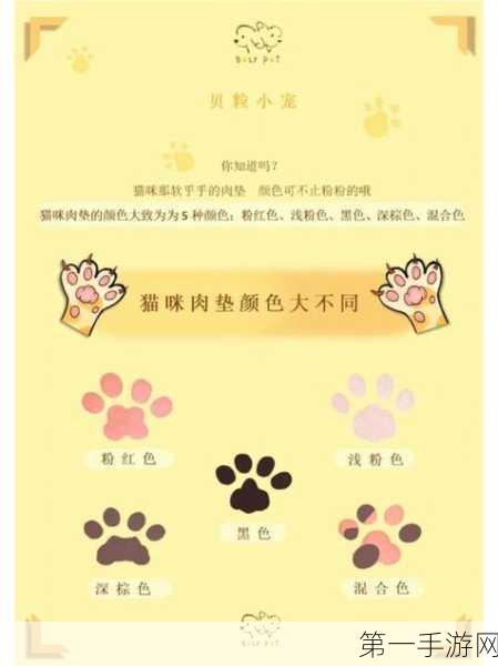 江南百景图猫爪使用攻略大揭秘🐾