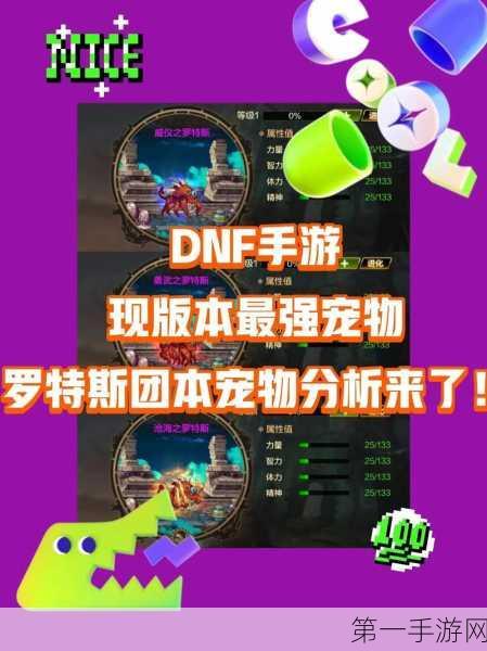 DNF手游精灵哥布林宠物深度剖析🔍