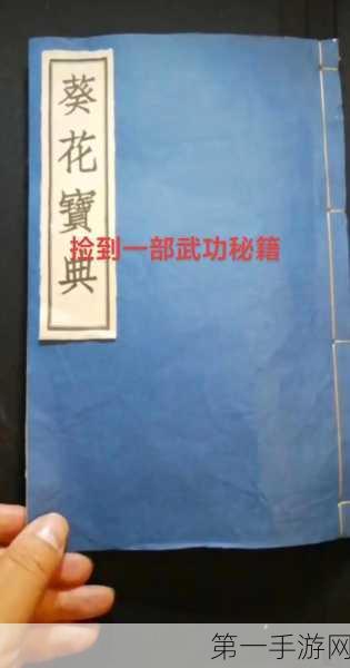 霸道天下元宝使用秘籍，助你称霸江湖💸