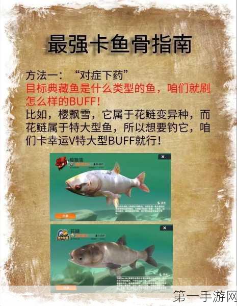 🐟小森生活，小鱼干制作秘籍大公开，高效攻略助你速成大师🎣