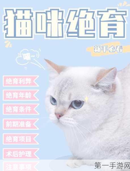 天涯明月刀手游深度剖析，猫咪繁育秘籍与全攻略🐱🗡️