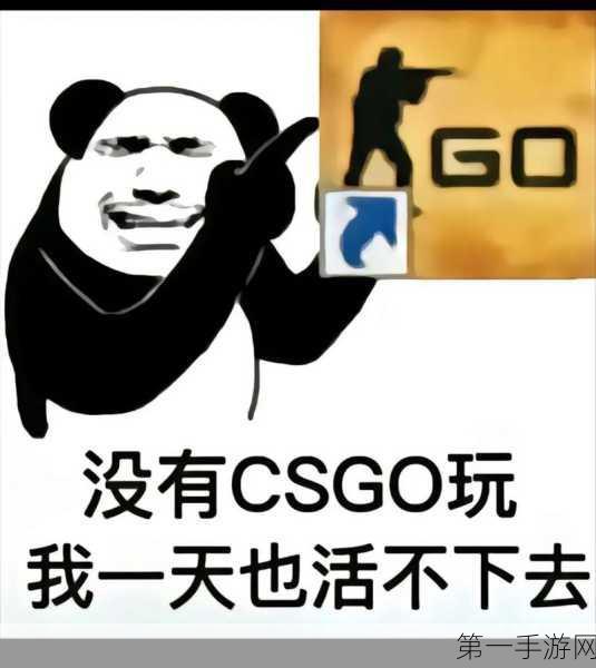 CSGO 图标背后的常见困扰