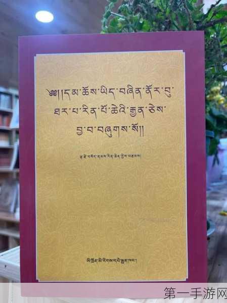 探寻诺兰德的特色文化书籍宝藏