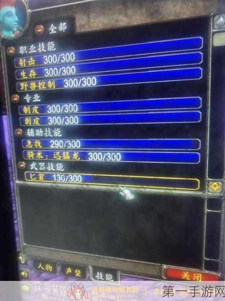 魔兽世界 WLK 剥皮 300 进阶指南