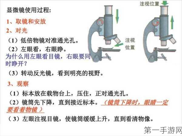 生物原型培养加点秘籍大公开