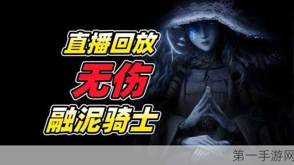 艾尔登法环 DLC 二周目强化是否留存之谜