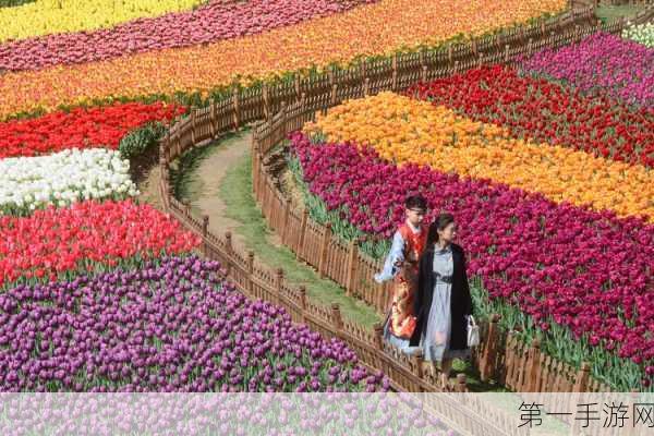 探寻无限暖暖花海最佳拍摄地