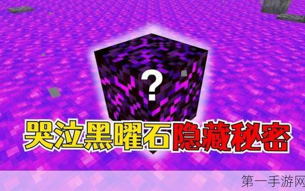 我的世界黑屏谜团，拾物即黑，你中招了吗？🎮