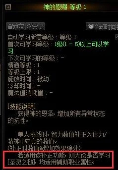 DNF神界版本词条级揭秘，解锁喂养新境界🔍