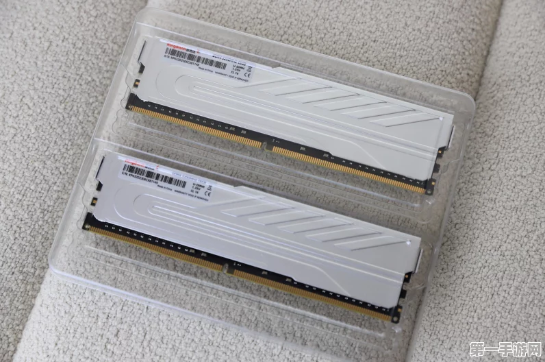 金百达银爵DDR5 6000内存条深度评测，性能卓越，绝非杂牌！💻