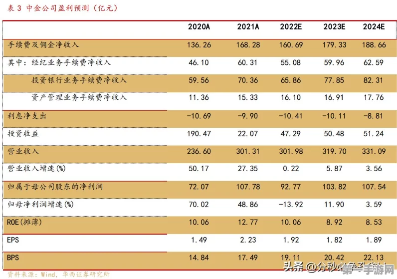 2024 IPO严冬王者争霸🏆 中金资本领跑，高瓴红杉紧追不舍！