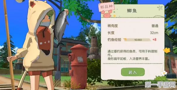 小森生活钓鱼攻略，揭秘鲶鱼聚集的秘密地点🎣