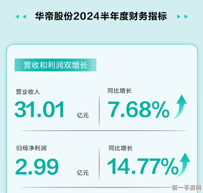 卫华集团2024年战绩辉煌，营收飙升51%再创佳绩🚀