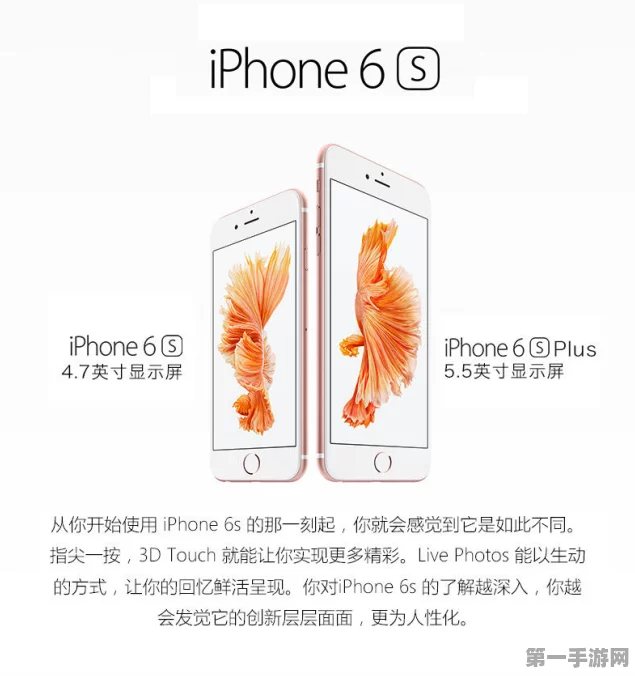 iPhone 6S Plus支持广电4G吗？实测解答来啦！📱