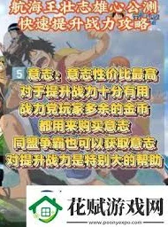 航海王壮志雄心，角色实力大揭秘