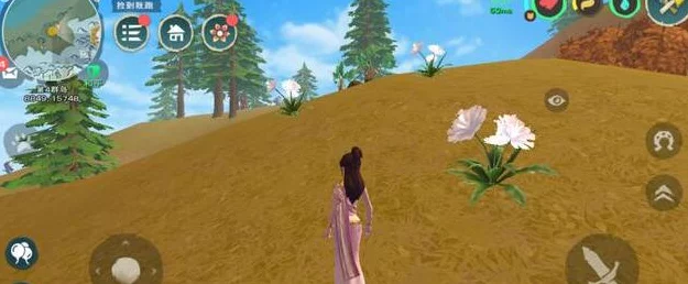 创造与魔法红色花寻觅指南🌸