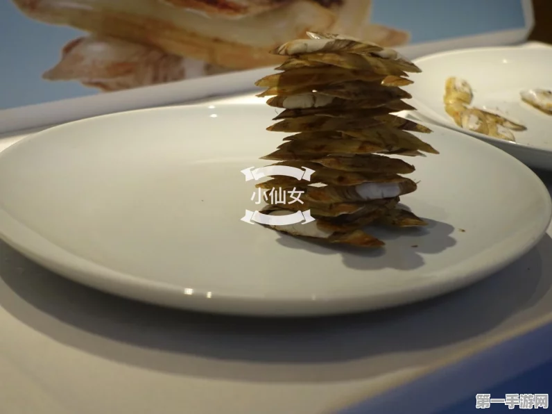 创造与魔法辣椒寻觅指南🌶️
